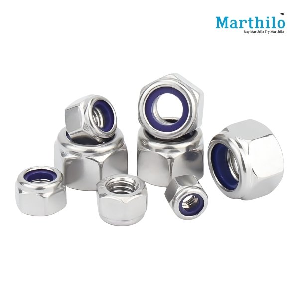 SS Nylock/Nyloc Nut M20 (Dia-20mm) Grade-304/316